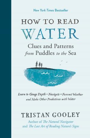 Book cover of How to Read Water