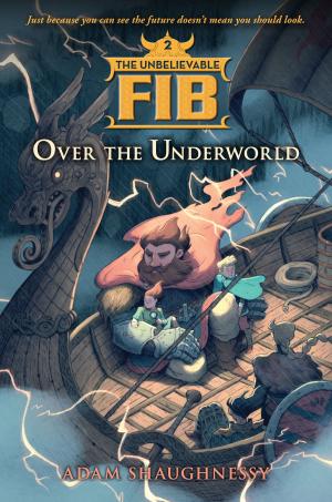 Cover of the book The Unbelievable FIB 2 by Michael C. Keith Ph.D.