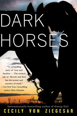 bigCover of the book Dark Horses by 