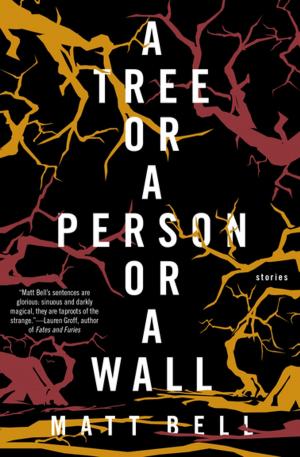 Cover of the book A Tree or a Person or a Wall by Joy Preble