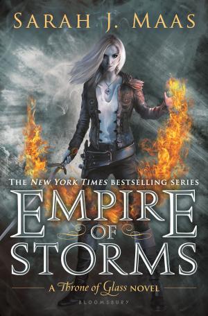 Book cover of Empire of Storms