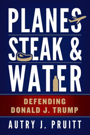 Cover of the book Planes, Steak & Water by Zen Master Nissim Amon