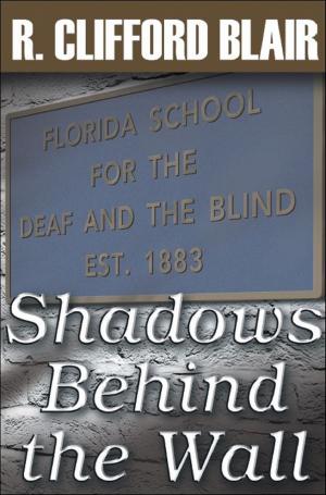 Cover of the book Shadows Behind the Wall by Robert D. Jones
