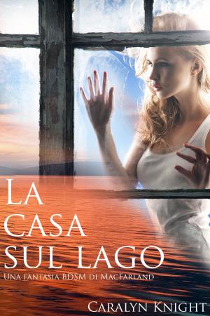 Cover of the book La casa sul lago by Joséphine Laturlutte, Valérie Mouillaflot