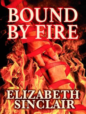 Cover of the book Bound By Fire by Dorothy Callahan