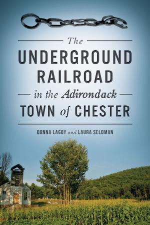 Cover of the book The Underground Railroad in the Adirondack Town of Chester by James W. Gould, Jessica Rapp Grassetti