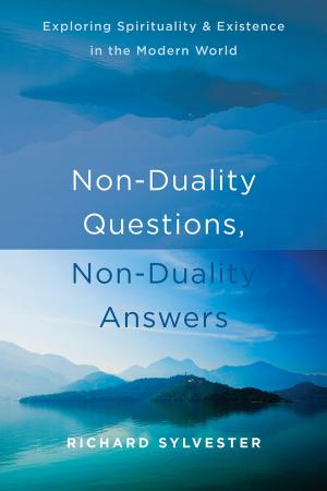 Cover of the book Non-Duality Questions, Non-Duality Answers by Michael A. Tompkins, PhD