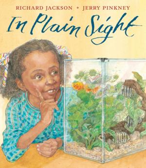 Cover of the book In Plain Sight by Nigel Quinlan