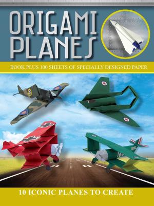 Cover of the book Origami Planes by Nancy J. Hajeski