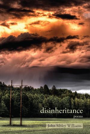 Cover of the book Disinheritance by Alix Moore