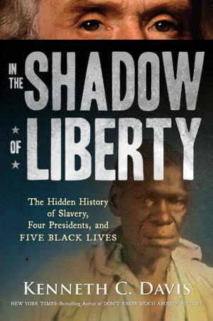 Cover of the book In the Shadow of Liberty by Elicia Castaldi