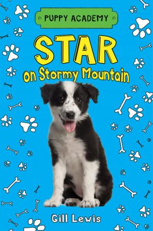 Cover of the book Star on Stormy Mountain by Kimberly Willis Holt