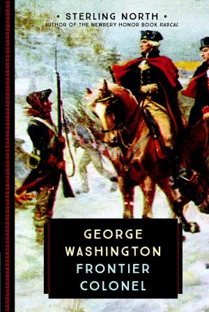 Cover of the book George Washington by Sara Deseran, Joe Hargrave, Antelmo Faria, Mike Barrow