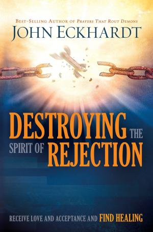 Cover of the book Destroying the Spirit of Rejection by Trinity Jordan