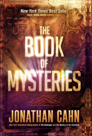 Cover of the book The Book of Mysteries by Arie Hill