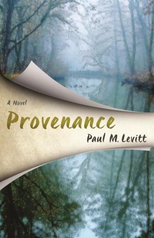 Cover of the book Provenance by Ray Vaughan