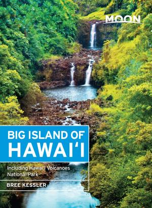 Cover of the book Moon Big Island of Hawaii by Lisa Cho
