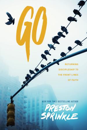 Cover of the book Go by Bev DeSalvo