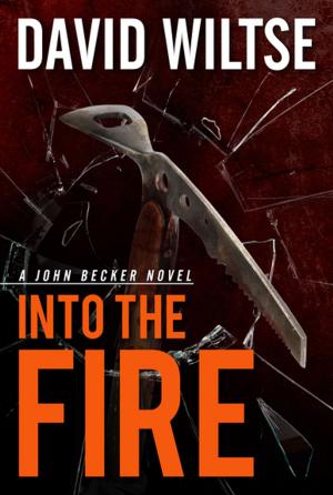 Cover of the book Into the Fire by Jason Cunningham