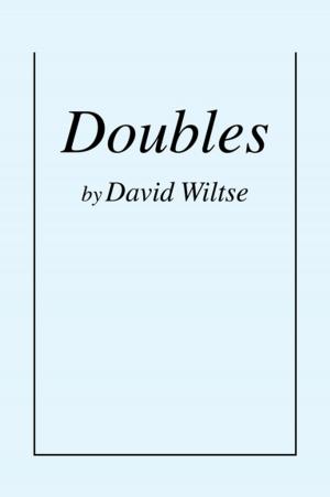Cover of the book Doubles by Cindy Christmas
