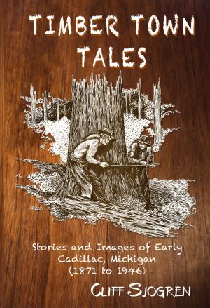 bigCover of the book Timber Town Tales by 