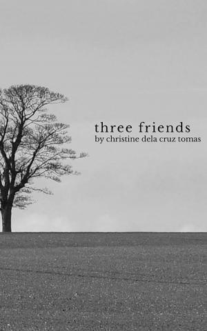 Cover of the book three friends by Axay D. Bamania
