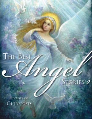 Cover of the book The Best Angel Stories 2 by Barrett, Erin, Mingo, Jack