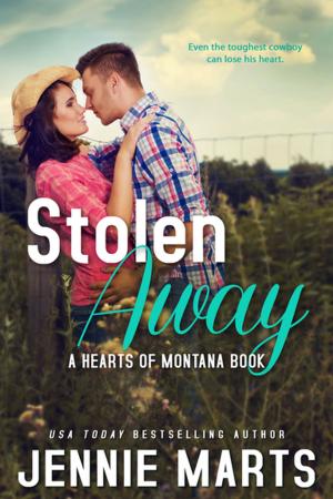 Cover of the book Stolen Away by Donna June Cooper