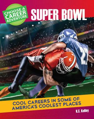 Cover of the book Choose Your Own Career Adventure at the Super Bowl by Tamra Orr