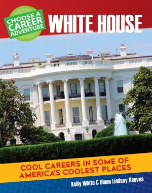 Cover of the book Choose Your Own Career Adventure at the White House by Katie Marsico