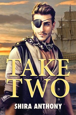 Cover of the book Take Two by C.C. Dado