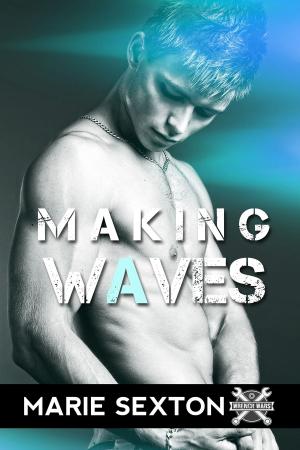 Cover of the book Making Waves by Andrew Grey