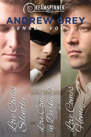 Cover of the book Senses Vol.1 by Amy Lane