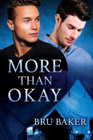 Cover of the book More Than Okay by D.J. Manly, A.J. Llewellyn