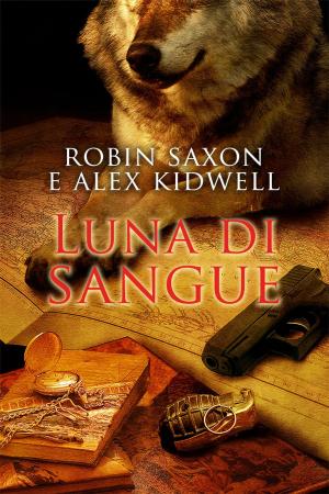 Cover of the book Luna di sangue by J.P. Barnaby