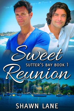Cover of the book Sweet Reunion by Leigh M. Lorien