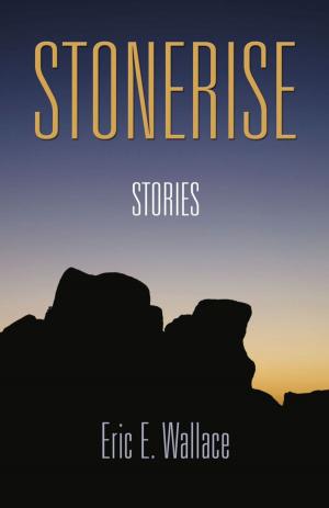 Cover of the book STONERISE by Nicholas Kinsey