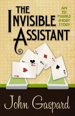 Book cover of THE INVISIBLE ASSISTANT