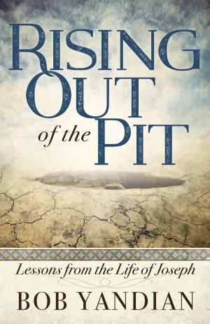Cover of the book Rising Out of the Pit by Yandian, Bob