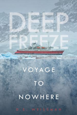 Cover of the book Voyage to Nowhere #1 by Grace Hansen