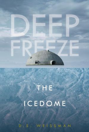 Cover of the book The Icedome #3 by Lisa Mullarkey; John Mullarkey