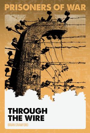 Cover of the book Through the Wire #1 by Julie Murray