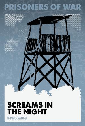 Cover of the book Screams in the Night #2 by Anastasia Suen