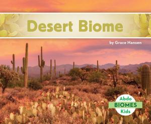 Cover of the book Desert Biome by Lisa Mullarkey; John Mullarkey
