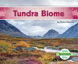 Cover of the book Tundra Biome by Grace Hansen