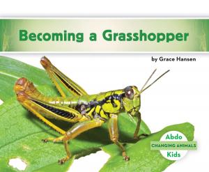 Book cover of Becoming a Grasshopper