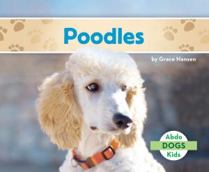 Cover of the book Poodles by Lisa Mullarkey