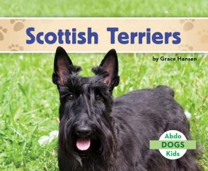 Cover of the book Scottish Terriers by Anastasia Suen