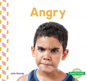 Cover of the book Angry by Charles Lennie