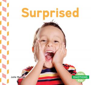 Cover of the book Surprised by Dotti Enderle
